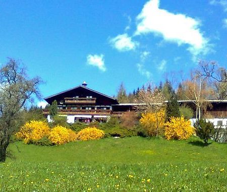 Biohof Schwanser Steinbach am Attersee Zewnętrze zdjęcie