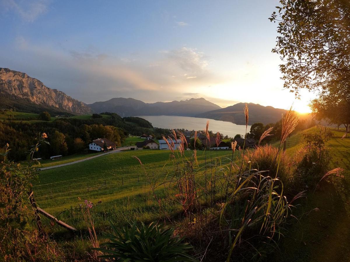 Biohof Schwanser Steinbach am Attersee Zewnętrze zdjęcie