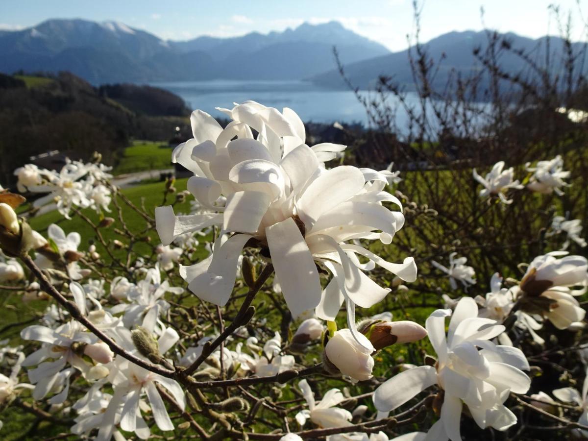 Biohof Schwanser Steinbach am Attersee Zewnętrze zdjęcie