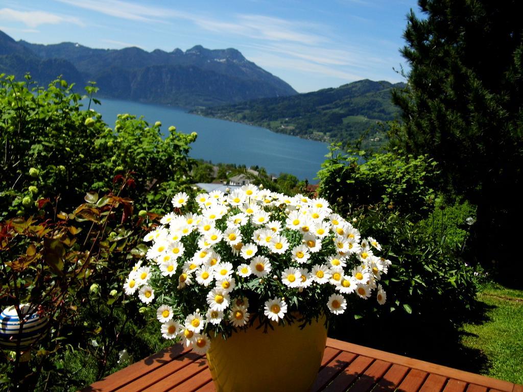 Biohof Schwanser Steinbach am Attersee Zewnętrze zdjęcie