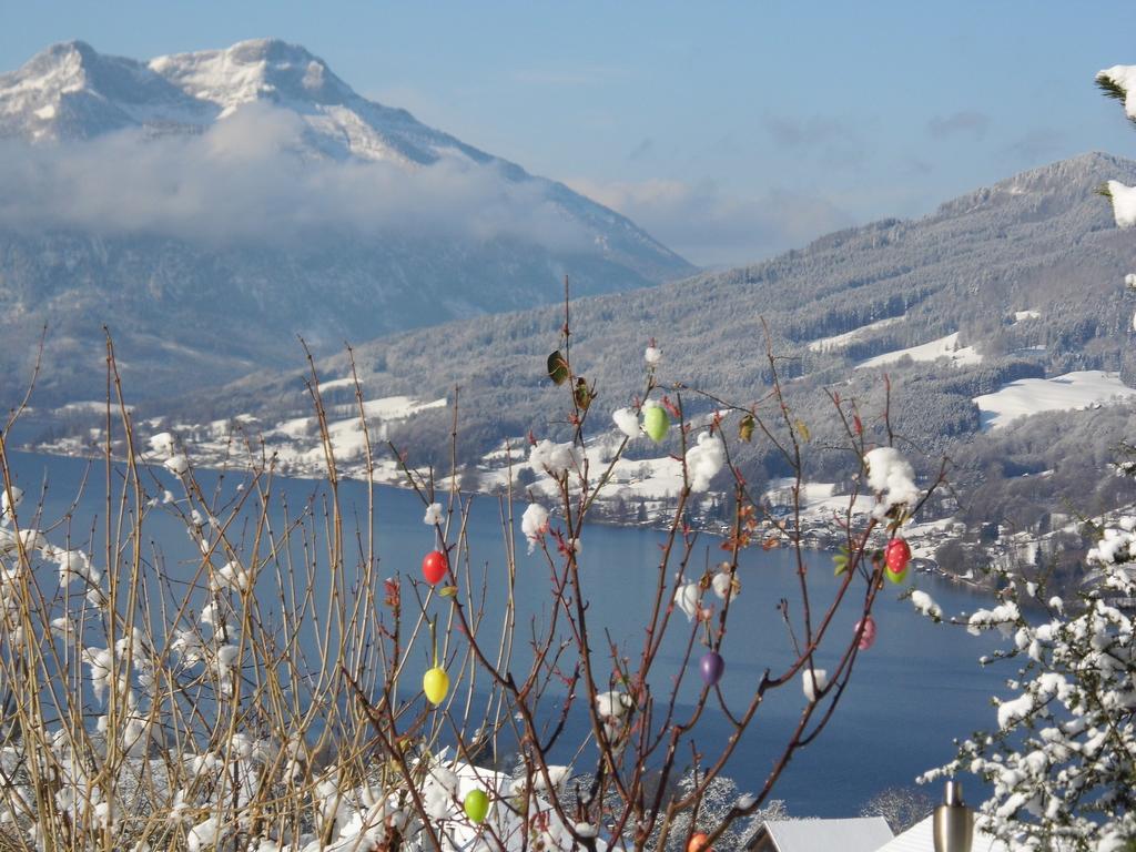 Biohof Schwanser Steinbach am Attersee Zewnętrze zdjęcie