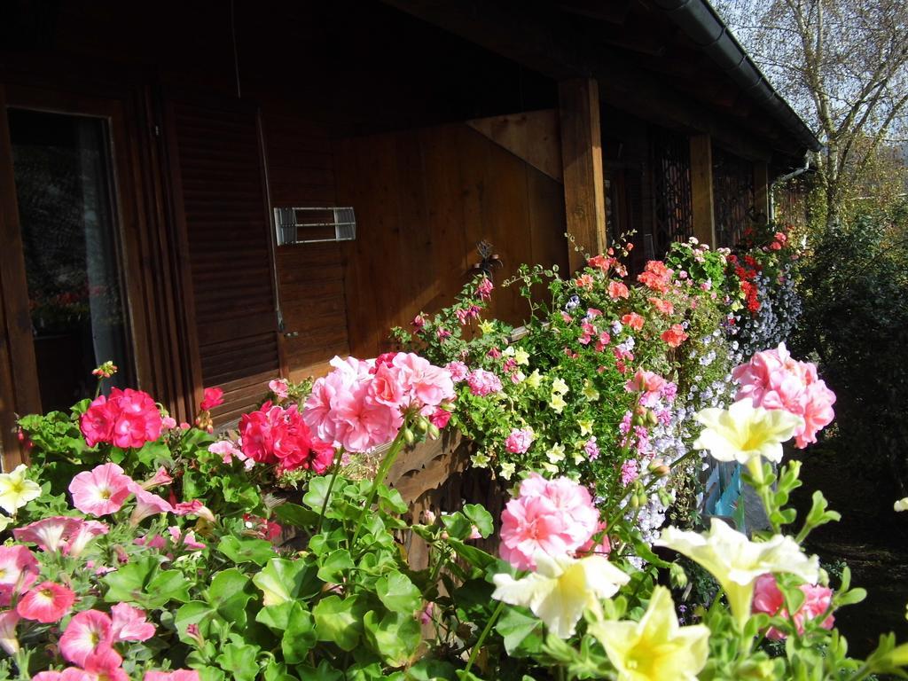 Biohof Schwanser Steinbach am Attersee Zewnętrze zdjęcie