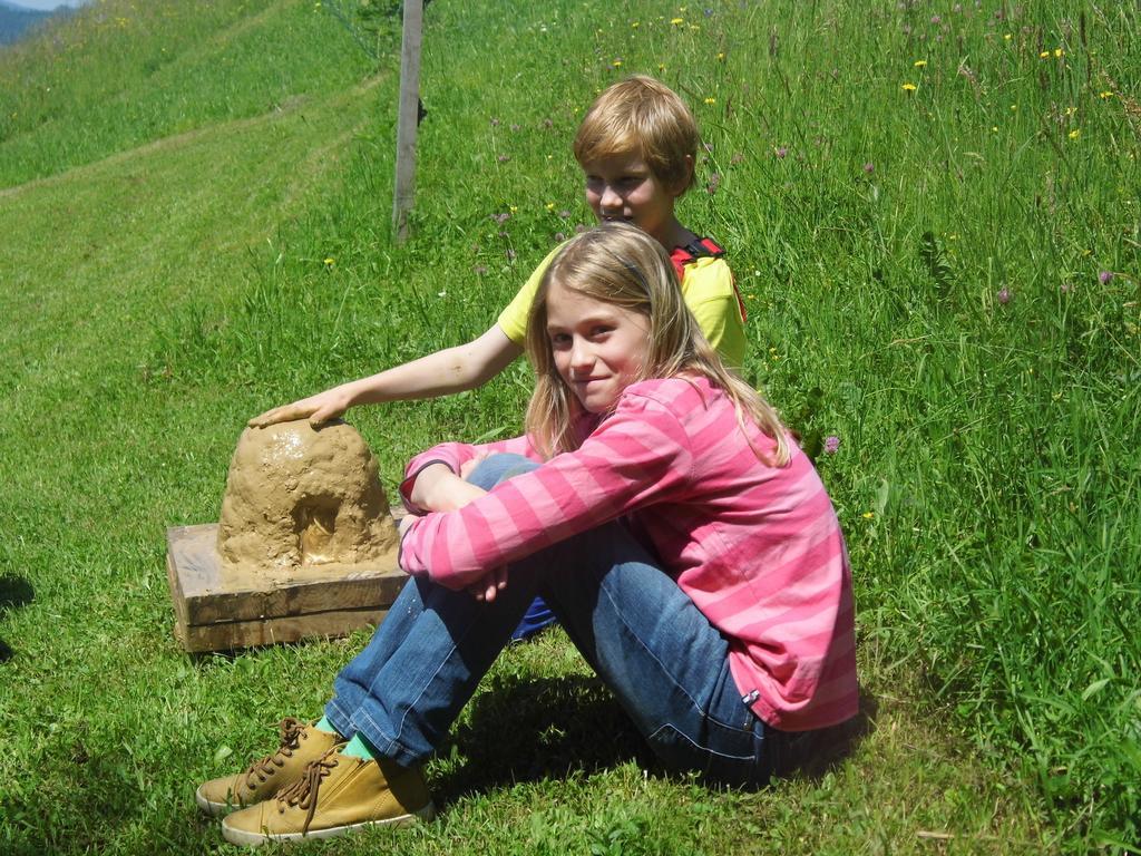 Biohof Schwanser Steinbach am Attersee Zewnętrze zdjęcie