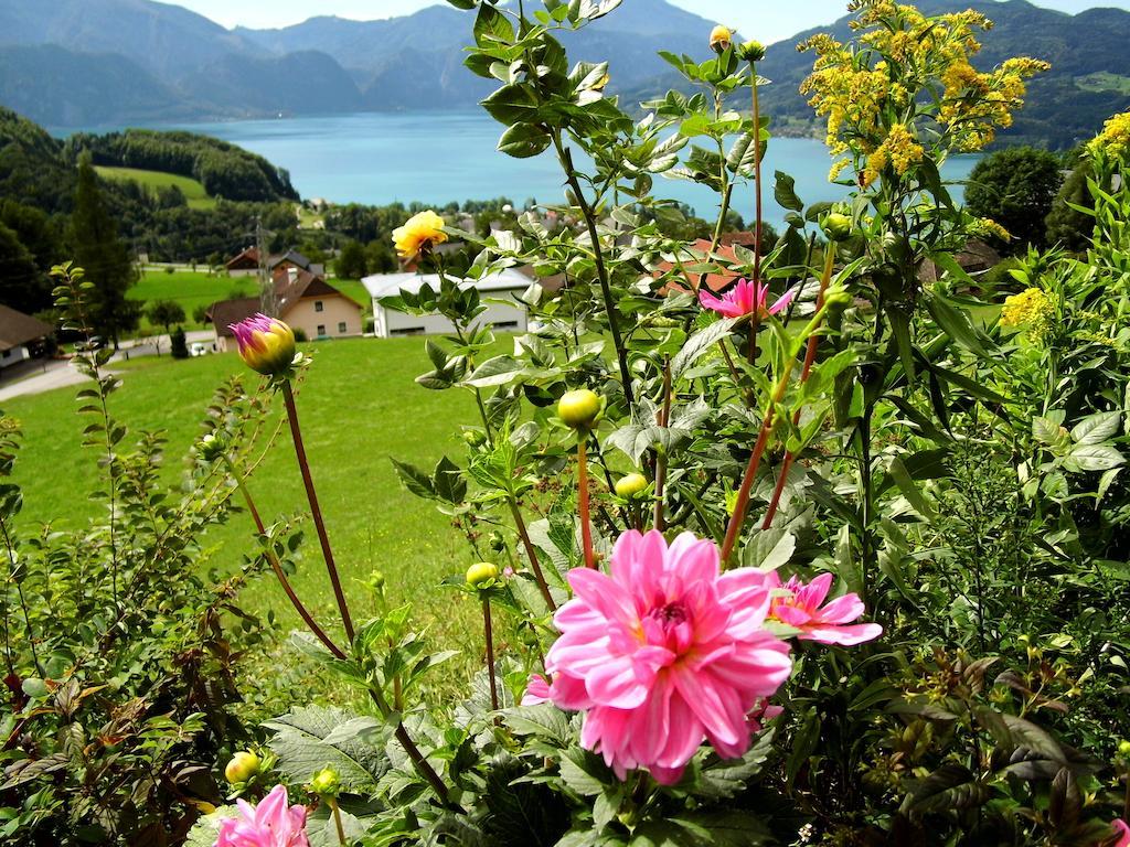 Biohof Schwanser Steinbach am Attersee Zewnętrze zdjęcie