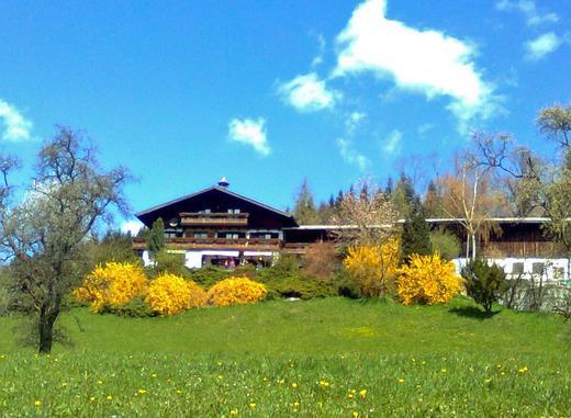 Biohof Schwanser Steinbach am Attersee Zewnętrze zdjęcie