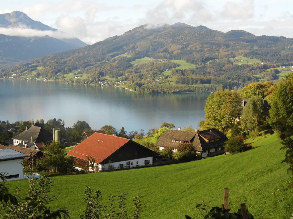 Biohof Schwanser Steinbach am Attersee Zewnętrze zdjęcie