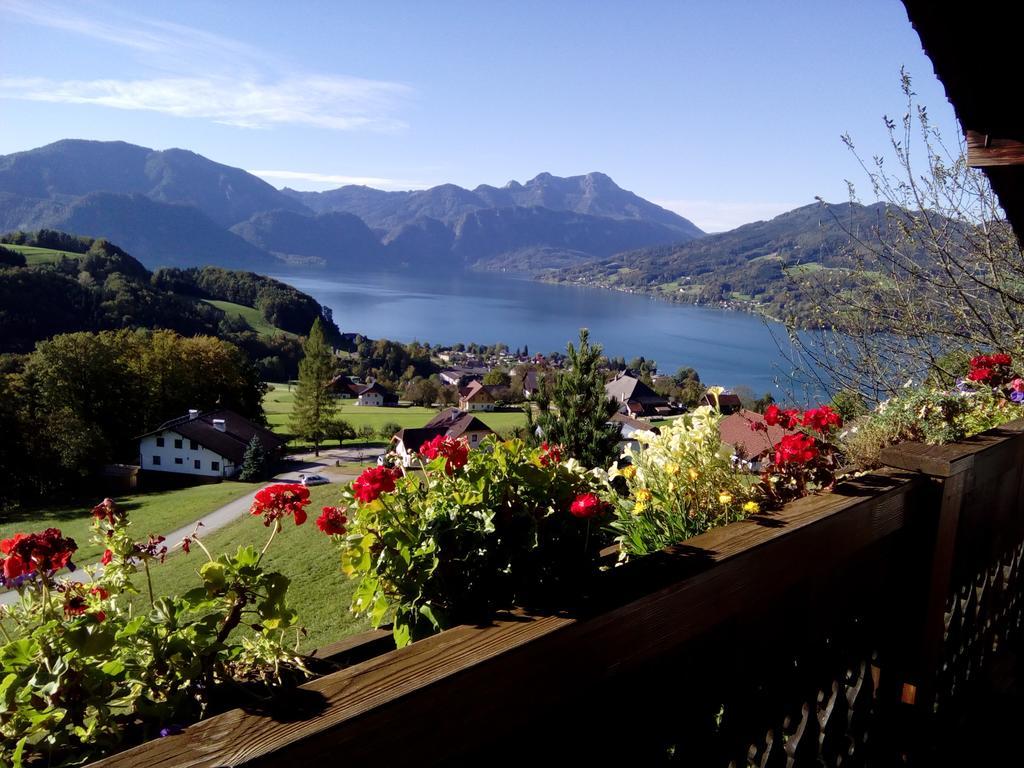 Biohof Schwanser Steinbach am Attersee Zewnętrze zdjęcie