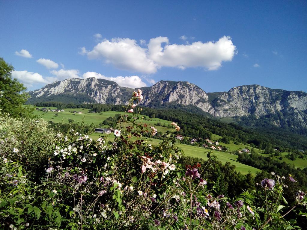 Biohof Schwanser Steinbach am Attersee Zewnętrze zdjęcie