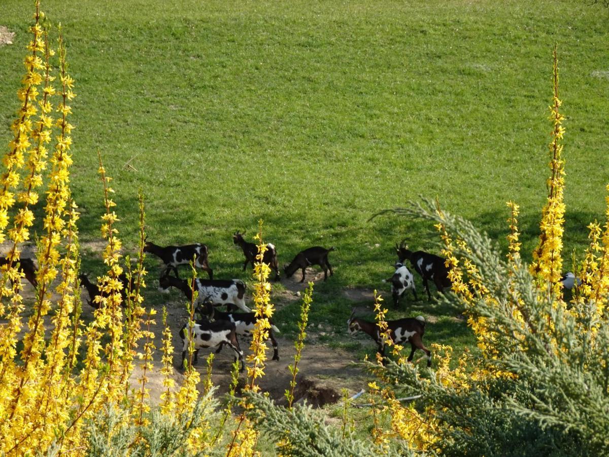 Biohof Schwanser Steinbach am Attersee Zewnętrze zdjęcie