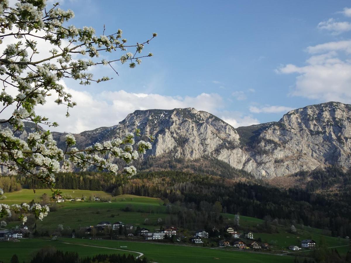 Biohof Schwanser Steinbach am Attersee Zewnętrze zdjęcie